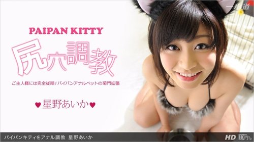 1PONDO-013113-523 1Pondo-013113_523 — Anal Training For Shaved Kitty
