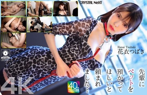 CRNX-254 [4K] [UNCENSORED-LEAK] Senior memintaku merawat hewan peliharaannya… Hanagoromo Tsubaki